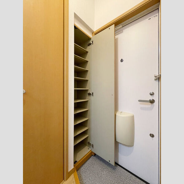 フラットコートB シューズボックス