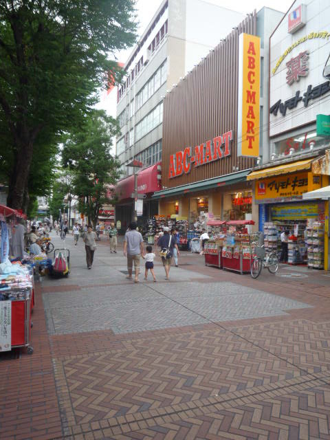 ガーラ・ステーション横濱阪東橋 【その他】イセザキモール商店街まで150ｍ