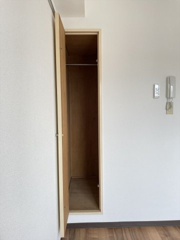 スカイコート川崎第２901号室 収納