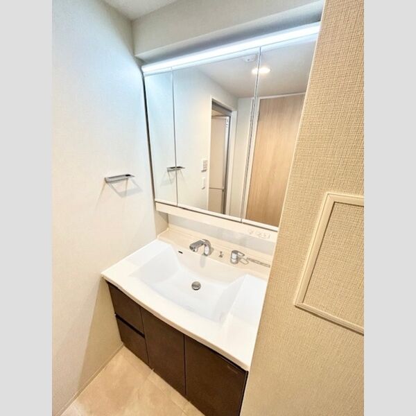 ロイジェント南池袋0403号室 洗面所