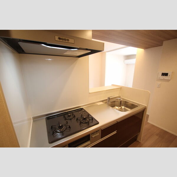 アンジュール新田303号室 キッチン