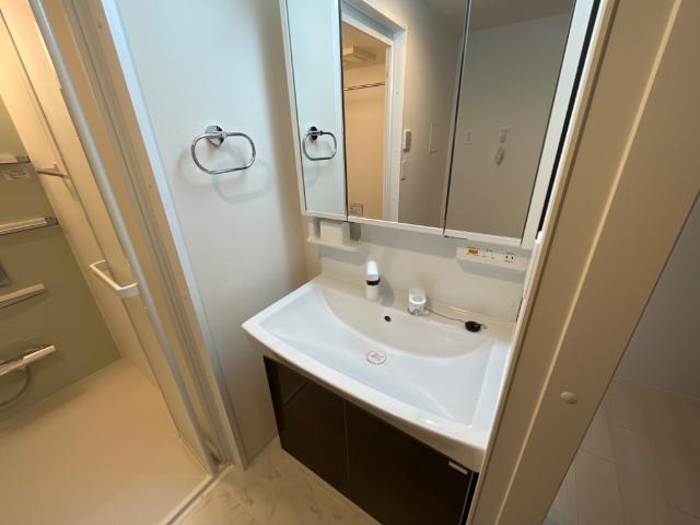 ハナミズキ 洗面