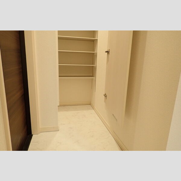 ソフィアⅢ読売ランド105号室 玄関(シューズクローク)