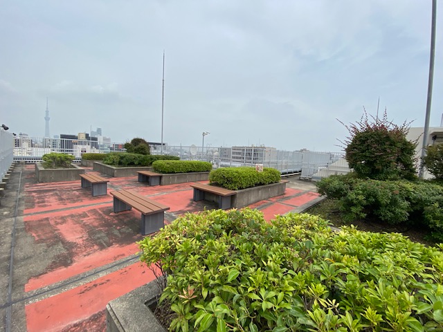 プライムアーバン日本橋横山町502号室 ドッグラン