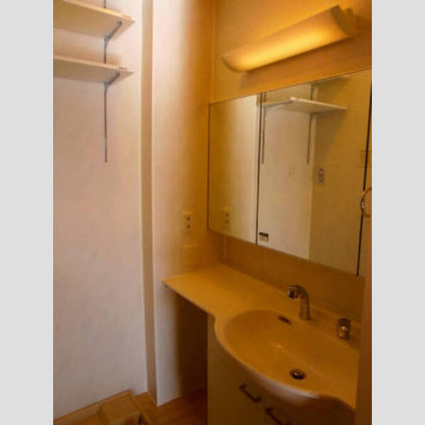 セントラルコート昭島303号室 洗面化粧台