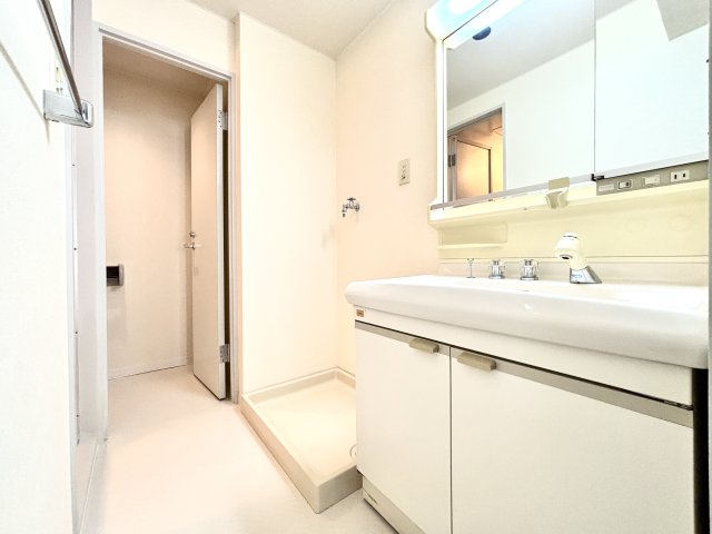 ジュネパレス藤沢0103号室 洗面