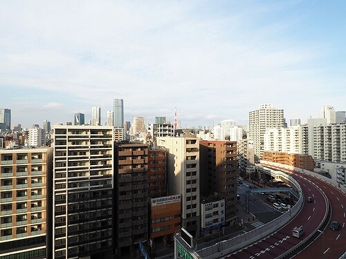 白金ザ・スカイ東棟11階 バルコニーからの東京タワービュー