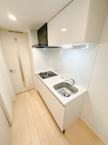 スカイコートリュクス品川大崎101号室 キッチン