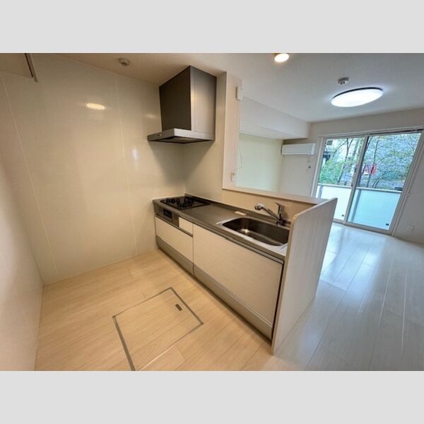 ロイジェントパークス レイクタウン Ⅱ　D システムキッチン