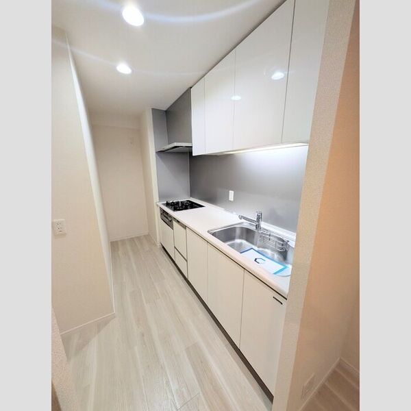 カスタリア高輪0402号室 キッチン