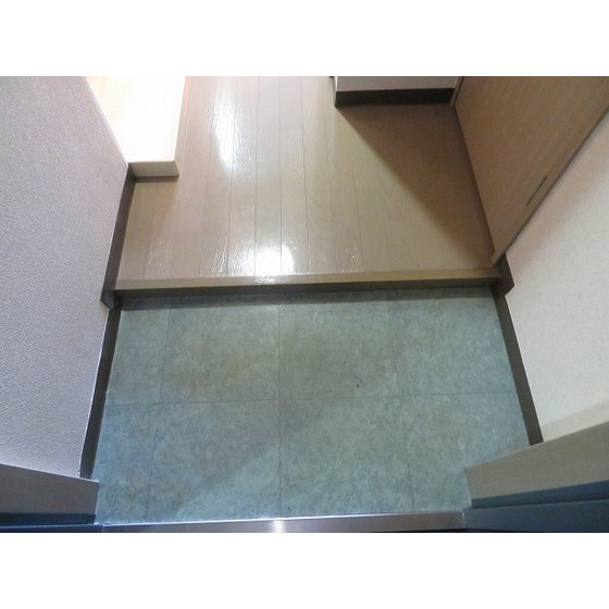 宮崎ビル0307号室 玄関