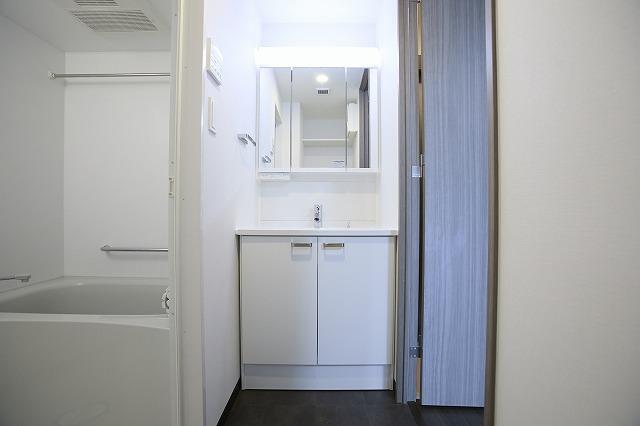 LIMERESIDENCE HIKIFUNE5階 洗面所