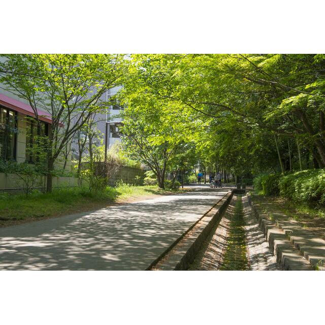 アムール仲町台 周辺