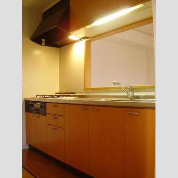 武笠テラスハウス　D システムキッチン