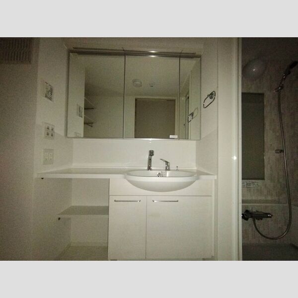 アヴァンス北烏山310号室 洗面