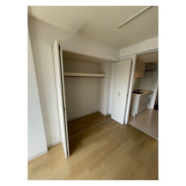 メゾン・ド・ヴィレ麻布台1405号室 クローゼット（洋室）