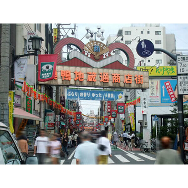 オークハイツ西巣鴨 周辺