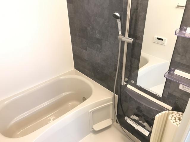 ＤｉｓＮｅｒｄ101号室 浴室