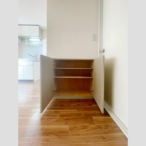 プラムワン202号室 シューズボックス