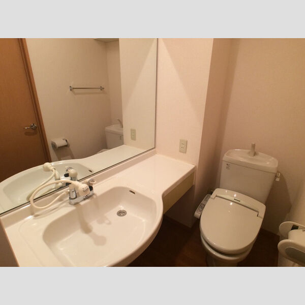ダイワハウス105号室 洗面