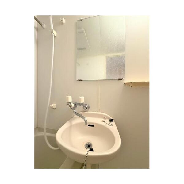 ラルジュ302号室 洗面