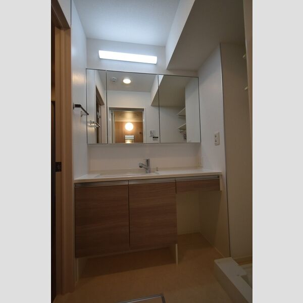 プレシャスコート聖蹟 洗面室