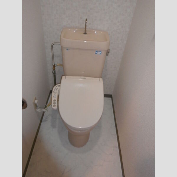 レガシィ小杉213号室 トイレ