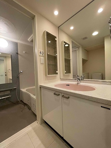 クロスレジデンス白金高輪 洗面所　※2022年4月撮影