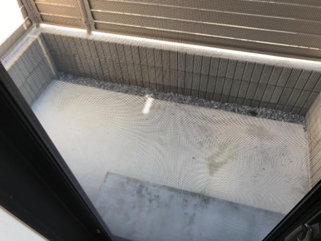 メゾンアイリス湘南Ⅱ102号室 庭