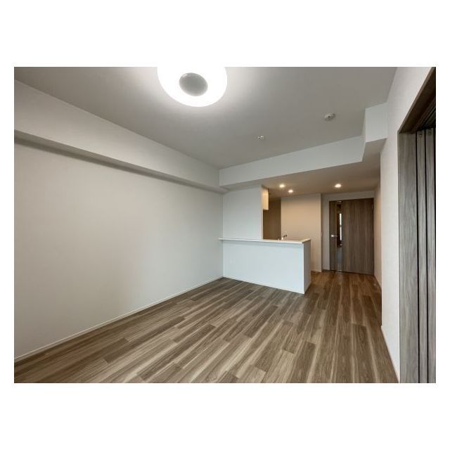 AIFLAT文京本駒込0907号室 リビング