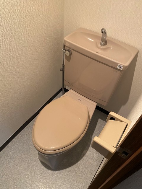 パレスグリーンヒル0505号室 トイレ