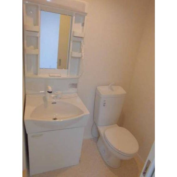 ラ・カンパネラ中央林間0201号室 洗面