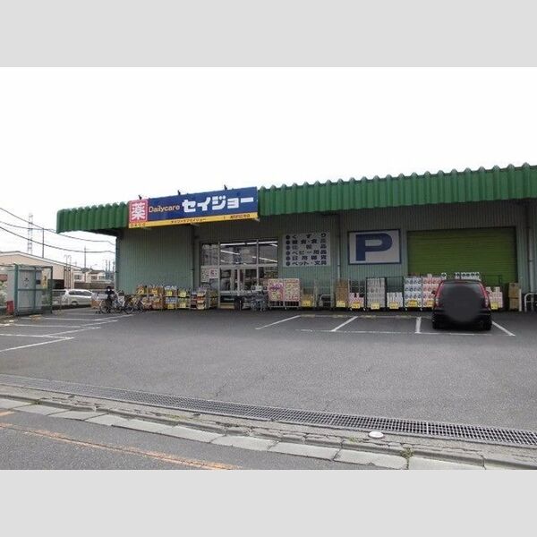 リリオコート203号室 ドラッグストアセイジョー浦和円正寺店(251m)
