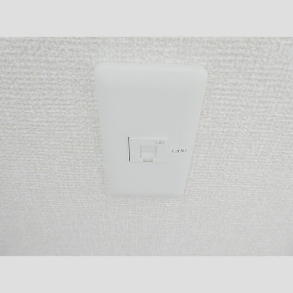 Villa Garland Court202号室 インターネット接続(洋室)