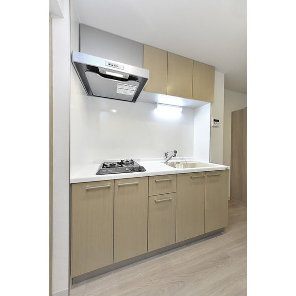 クリオ　ラモード学芸大学Ⅱ0201号室 キッチン