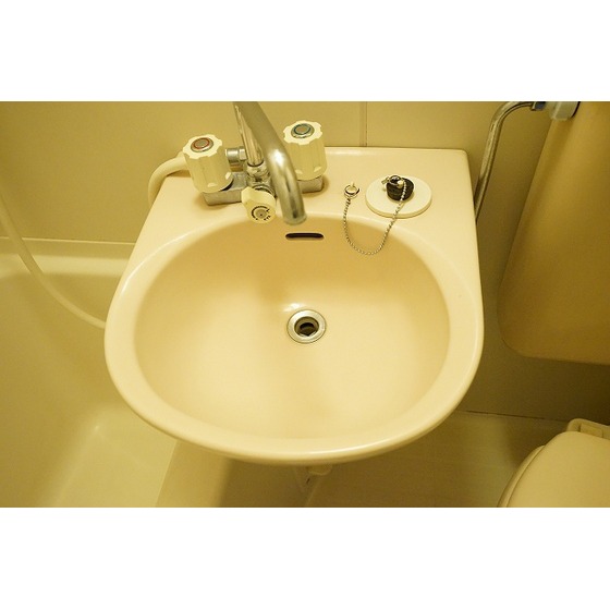 カーサグリス0102号室 洗面ボウル