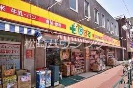 椎名館 どらっぐぱぱす南長崎店