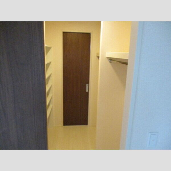 プチクールⅢ・Ⅴ　Ⅴ Ⅴ307(ウォークスルークローゼット)