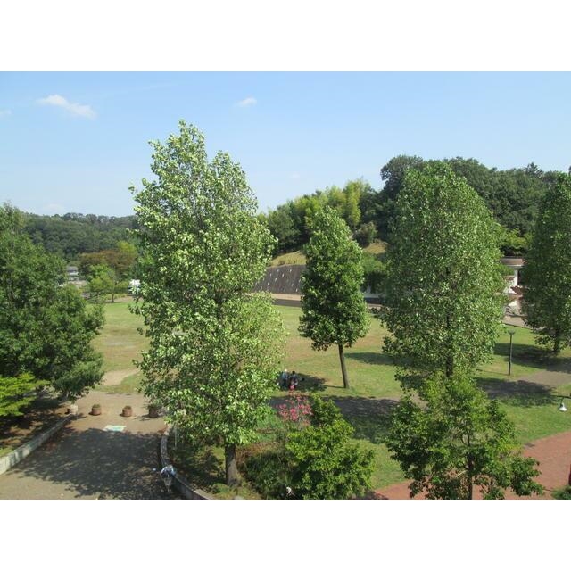 鴨志田第一ビル4階 周辺