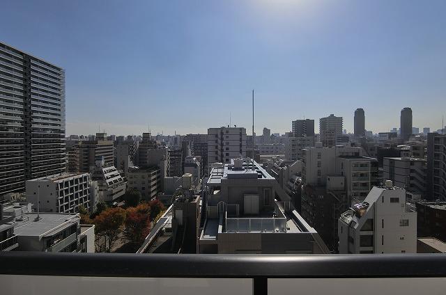 ALTERNA亀戸Ⅲ13階 眺望