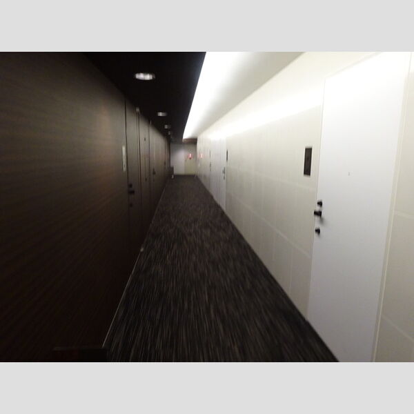 カスタリア目黒長者丸 内廊下