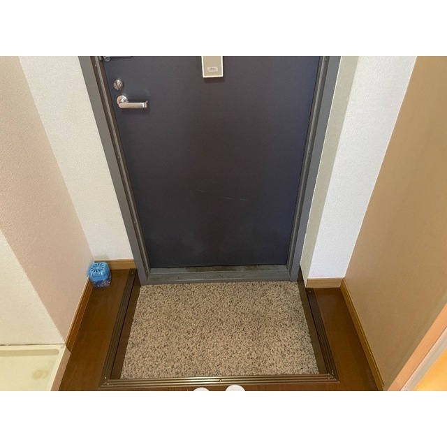 アークA202号室 玄関