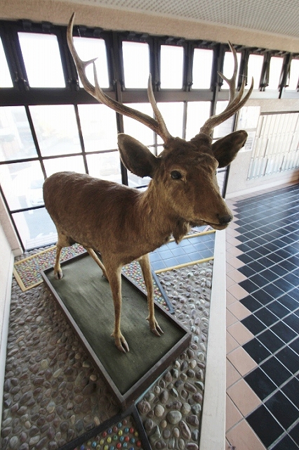 メゾンベルクール2階 部屋その他
