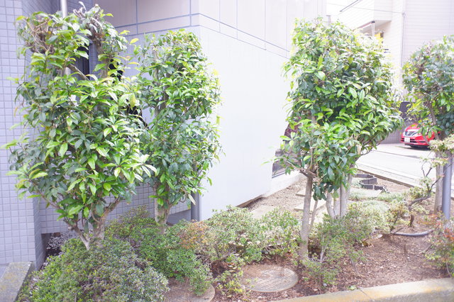 ラ・クレッツ門前仲町0302号室 その他