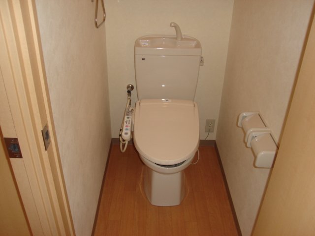 ソレイユ鵠沼302号室 トイレ