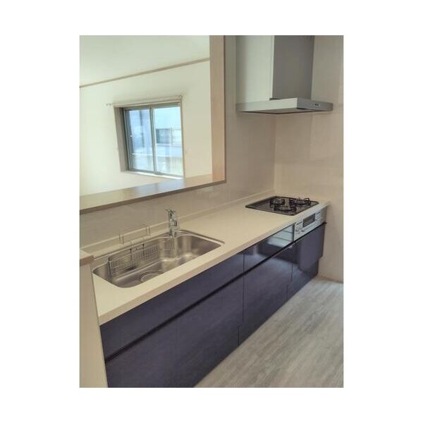 市川市国府台4丁目戸建A棟 キッチン