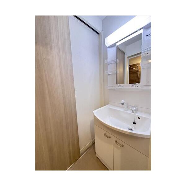 レイズ日進203号室 洗面