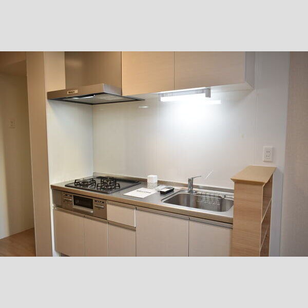 ハーヴェストWEST105号室 システムキッチン
