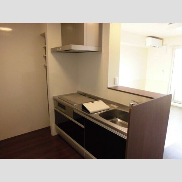 ラ・ピーノ　6203号室 対面システムキッチン