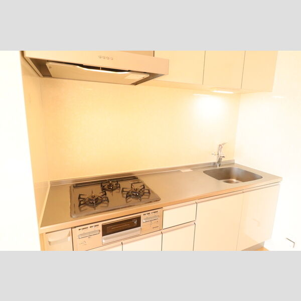 ヘリオス吉川美南　ポセイドン301号室 システムキッチン